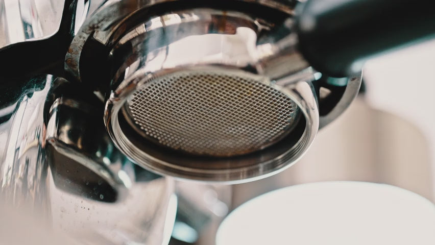 Charger la vidéo : 